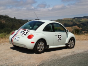 Herbie overlooks the Carmell Valley